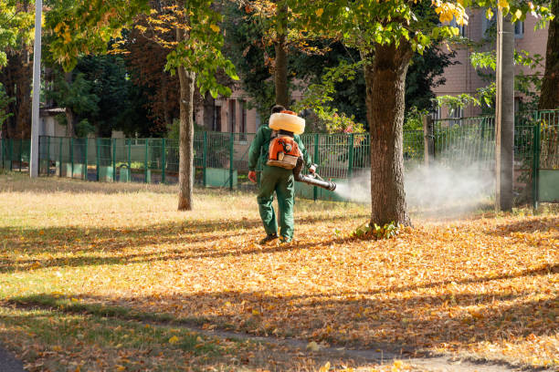 Best Wildlife Control Services  in Mason, TN